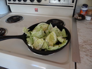 cabbage dec harvest 2 (2)