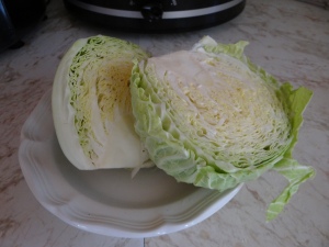cabbage dec harvest