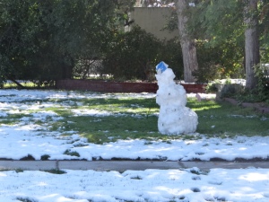 snowman - Copy